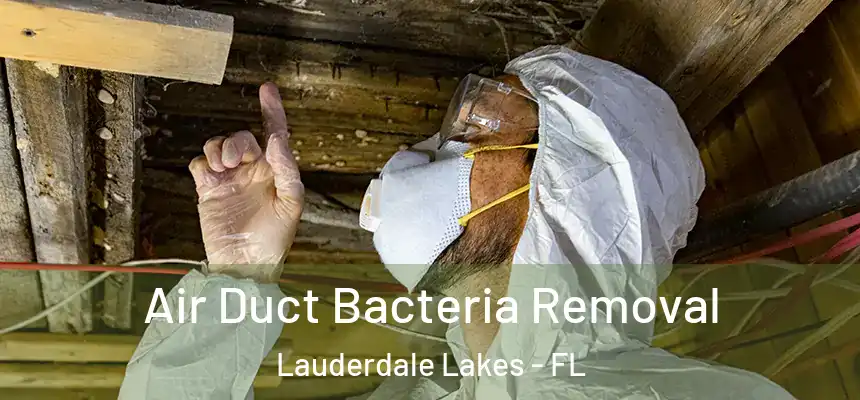 Air Duct Bacteria Removal Lauderdale Lakes - FL