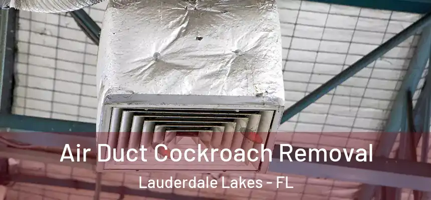 Air Duct Cockroach Removal Lauderdale Lakes - FL