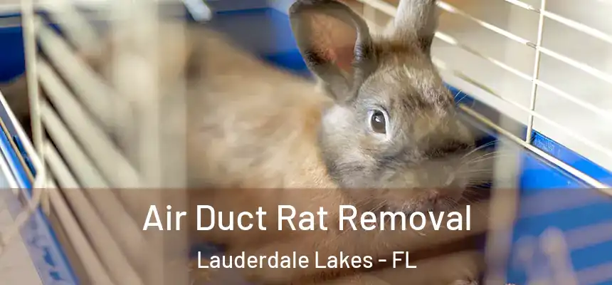 Air Duct Rat Removal Lauderdale Lakes - FL