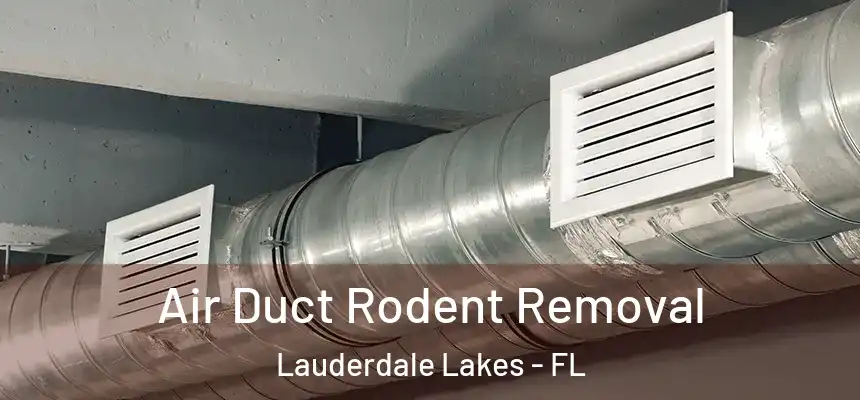 Air Duct Rodent Removal Lauderdale Lakes - FL