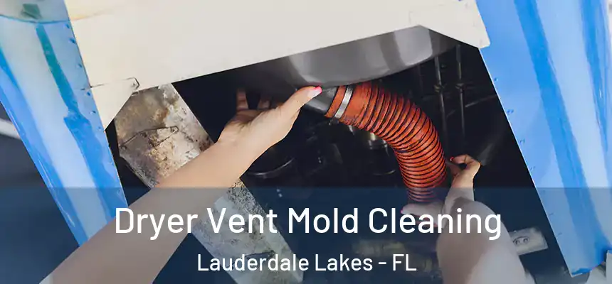  Dryer Vent Mold Cleaning Lauderdale Lakes - FL