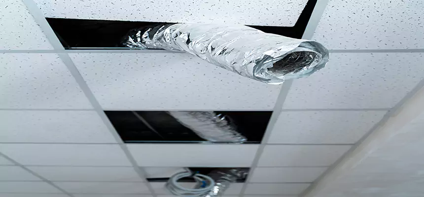 Affordable HVAC Sanitizing After Pest Removal in Lauderdale Lakes