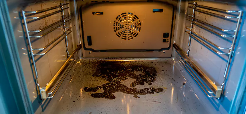 Our Dryer Vent Mold Cleaning Services in Lauderdale Lakes, FL