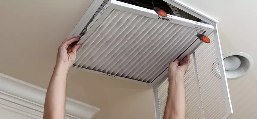 Our Insect Removal from Air Ducts Services in Lauderdale Lakes, FL