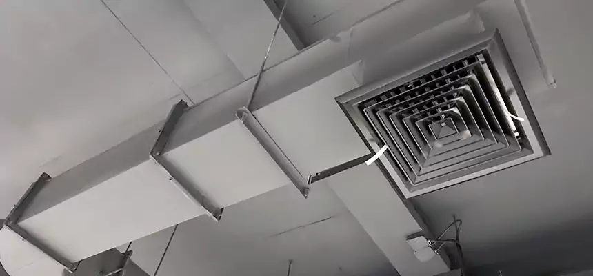 Our Pest Removal From Ducts Services in Lauderdale Lakes, FL