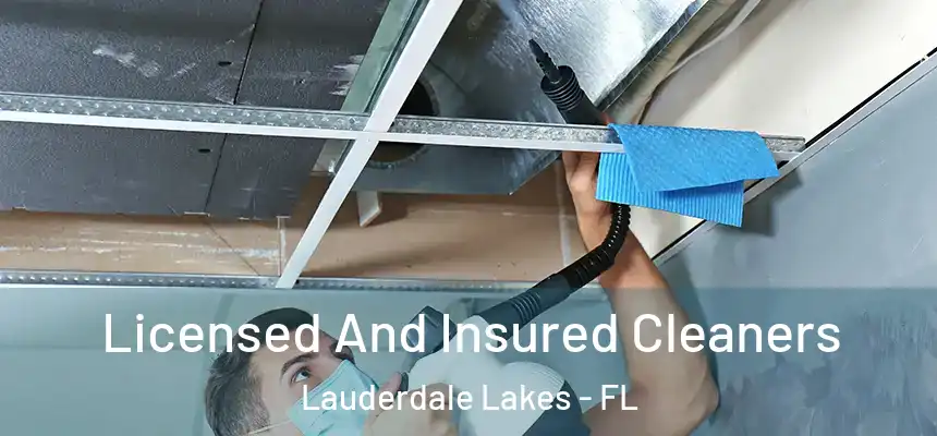 Licensed And Insured Cleaners Lauderdale Lakes - FL