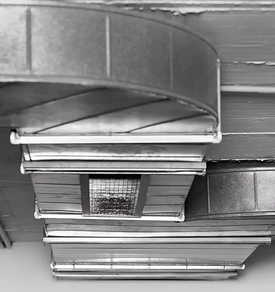 Professional Air Duct Pest Removal in Lauderdale Lakes, FL