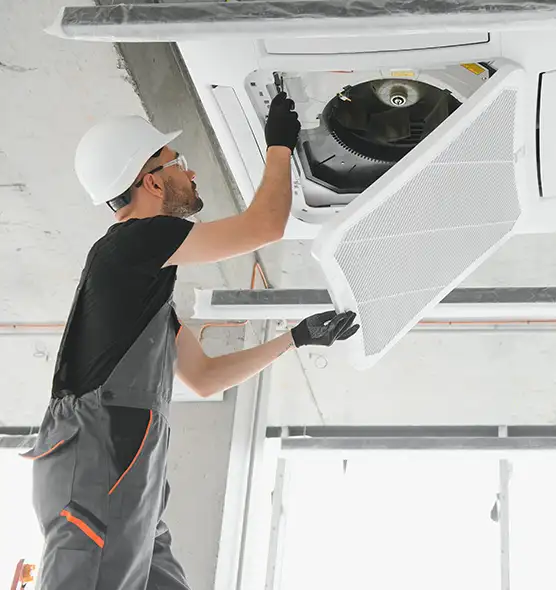 About Air Duct Rodent Removal in Lauderdale Lakes, FL