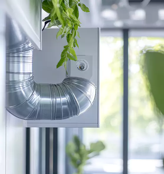 Professional Eco-Friendly Duct Cleaning Services in Lauderdale Lakes, FL