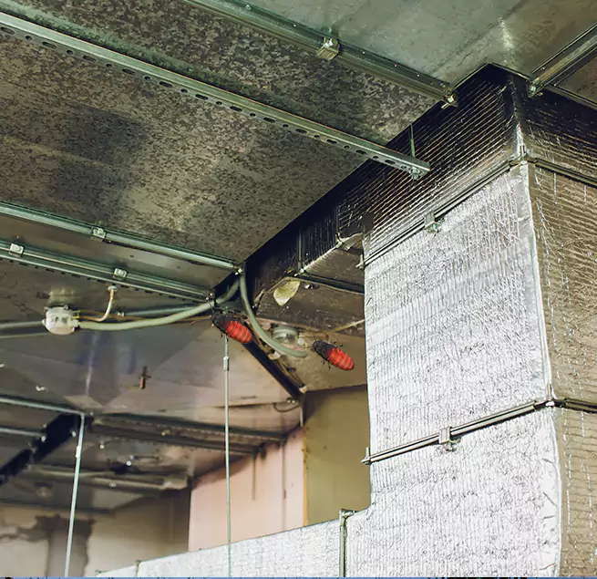 Why Homeowners & Businesses Trust Us in Lauderdale Lakes, FL?