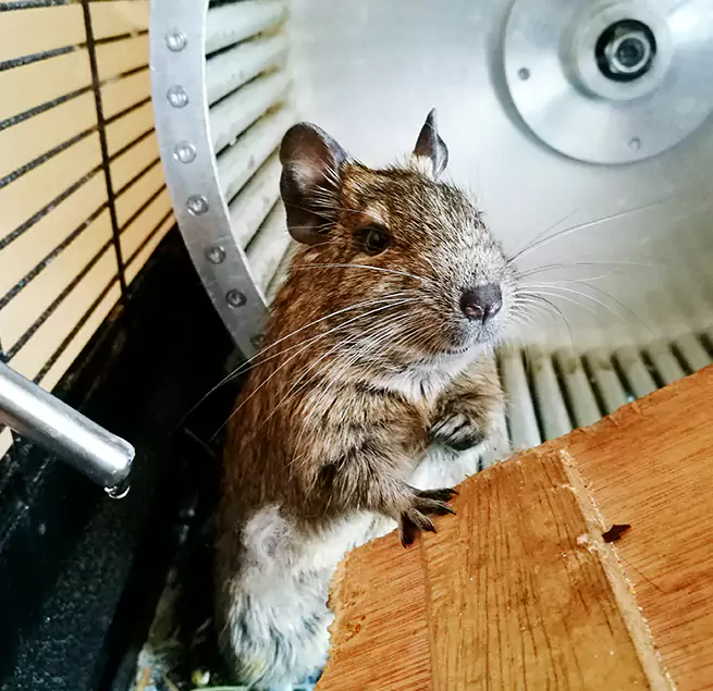 Why Homeowners & Businesses Trust Us Lauderdale Lakes, FL?