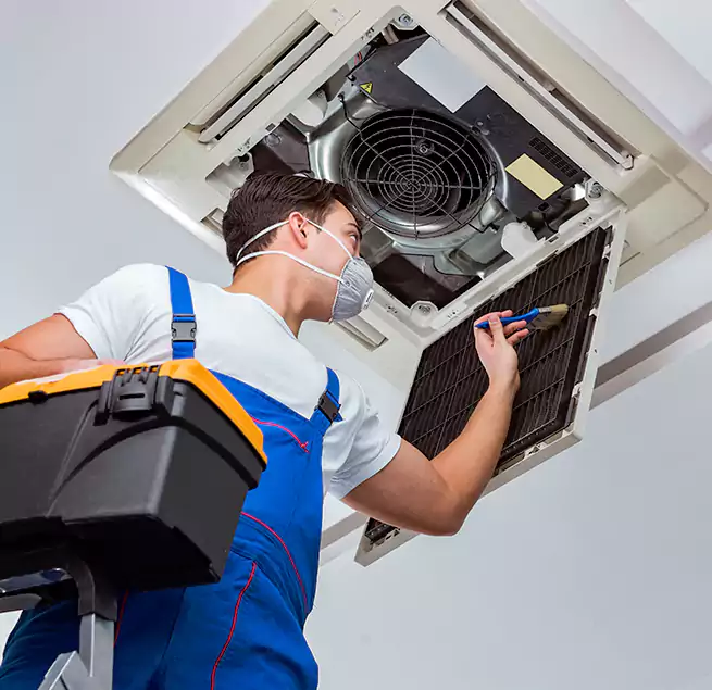 Why Homeowners & Businesses Trust Us in Lauderdale Lakes, FL