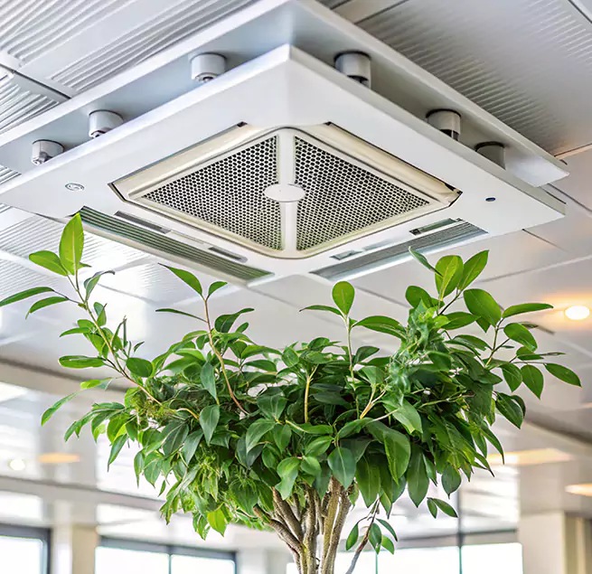 Why Homeowners & Businesses Trust Us in Lauderdale Lakes, FL?