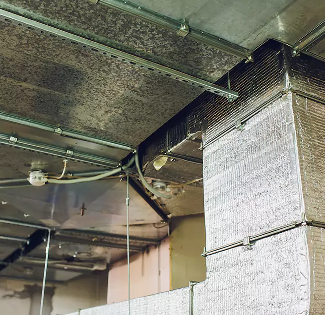 Why Homeowners & Businesses Trust Us in Lauderdale Lakes, FL?